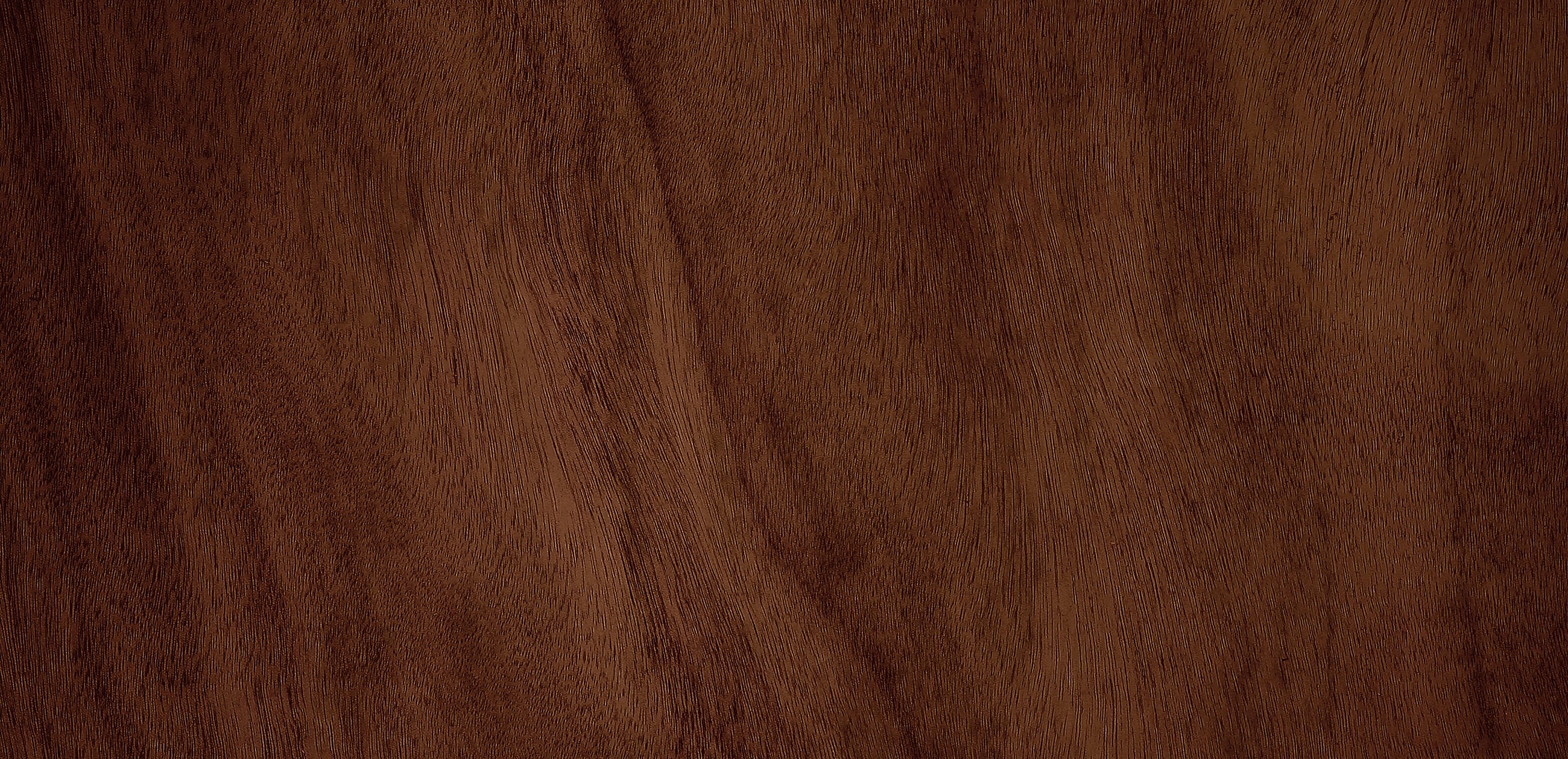 Close-up of rich, dark wood texture.